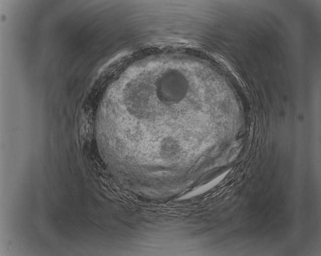 X0000086091063200704091321