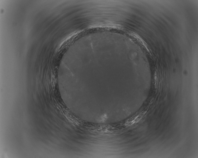 X0000086091064200704091321