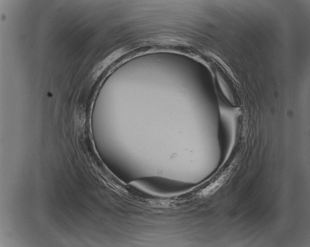 X0000086091065200704091321