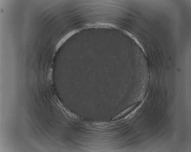 X0000086091066200704091321