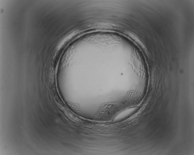 X0000086091067200704091321