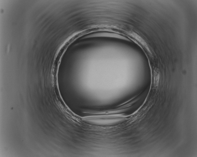 X0000086091068200704091321