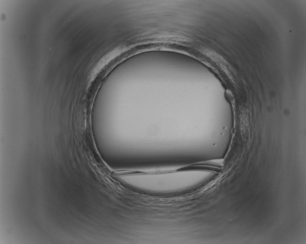 X0000086091069200704091321