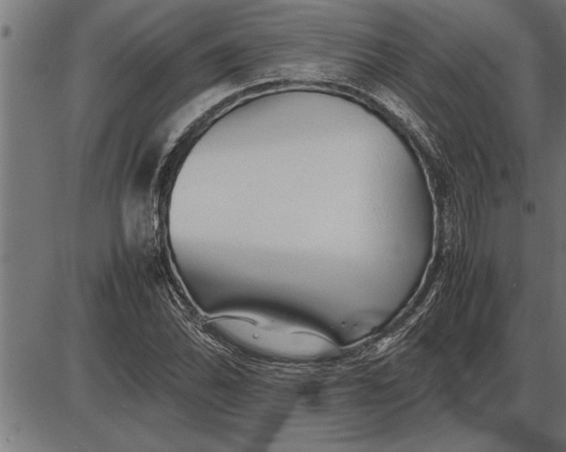 X0000086091070200704091321