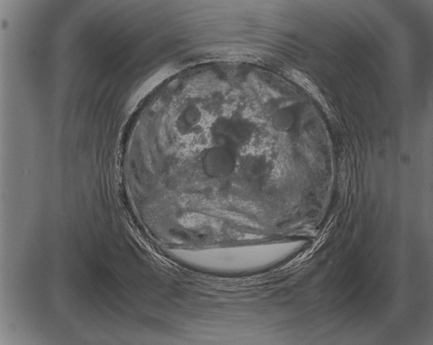 X0000086091071200704091321