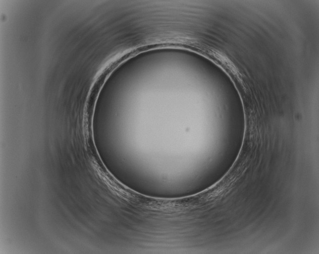 X0000086091072200704091321