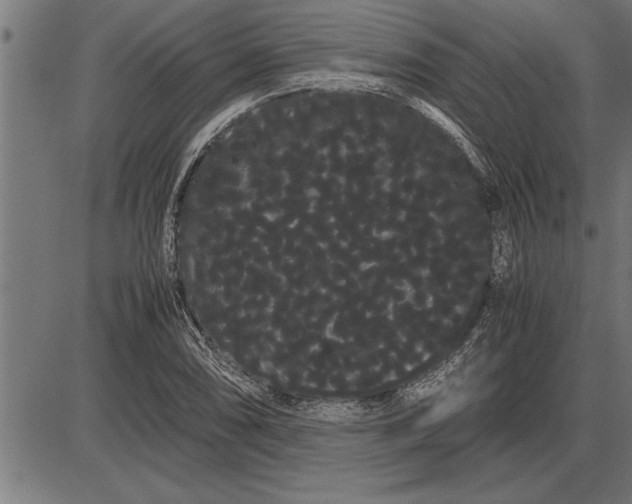 X0000086091074200704091321