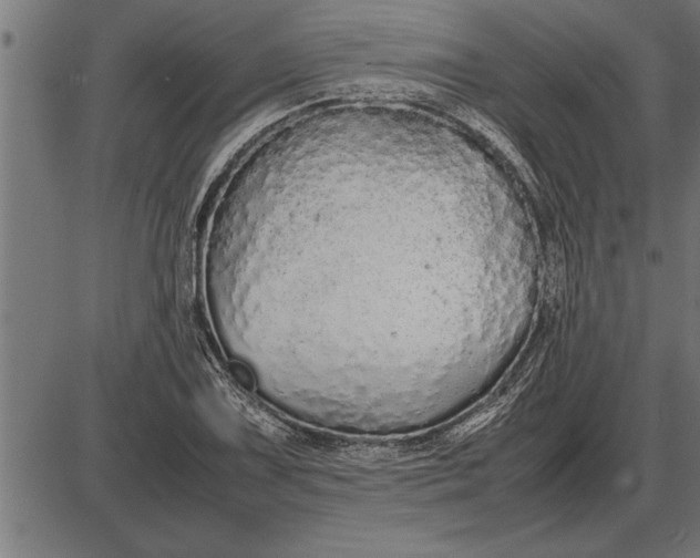 X0000086091075200704091321