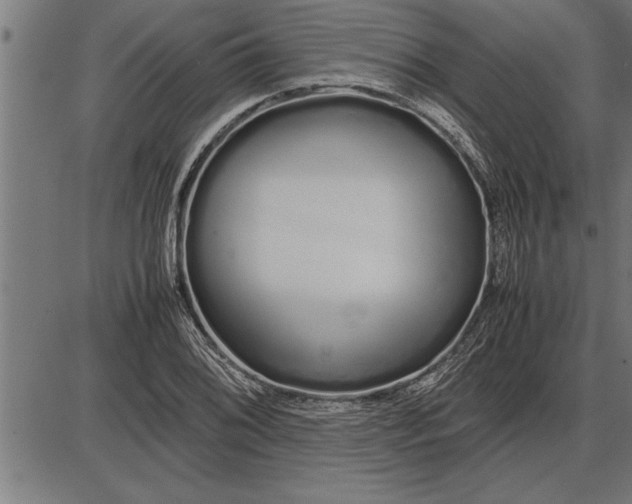 X0000086091076200704091321