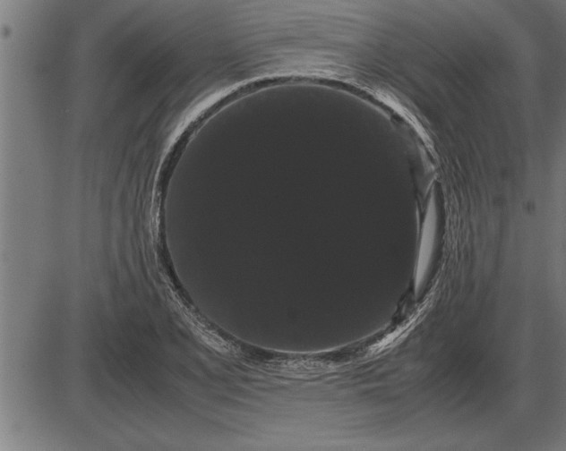 X0000086091077200704091321