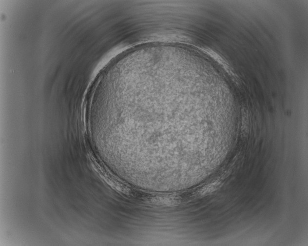 X0000086091078200704091321