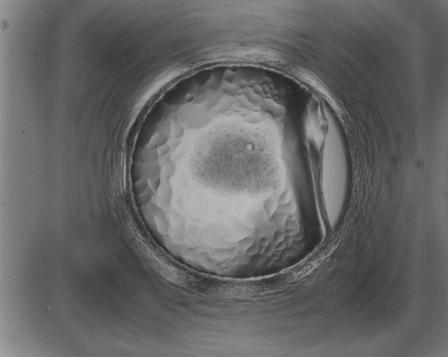 X0000086091079200704091320