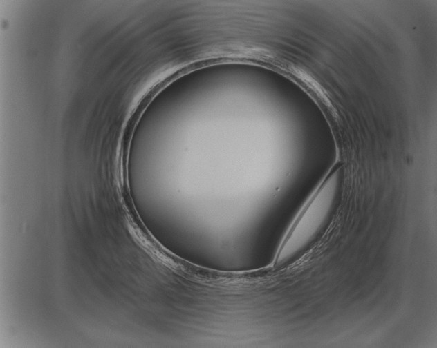 X0000086091080200704091320