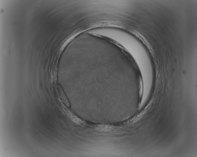 X0000086091081200704091320