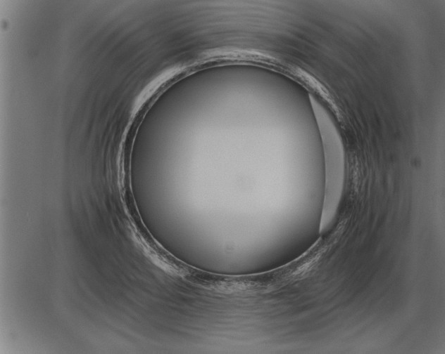 X0000086091082200704091320