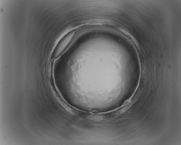 X0000086091083200704091320