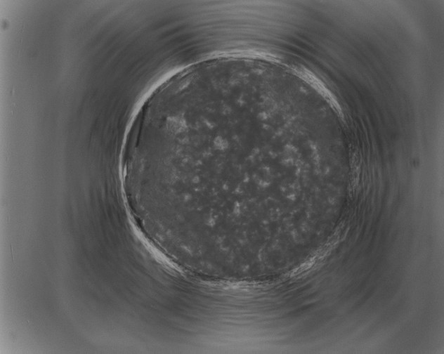 X0000086091084200704091320