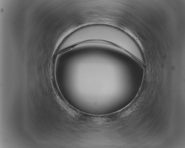 X0000086091085200704091320