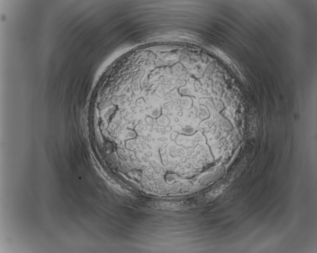 X0000086091086200704091320