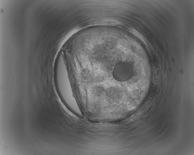 X0000086091087200704091320