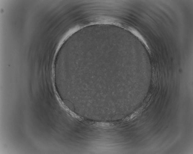 X0000086091088200704091320