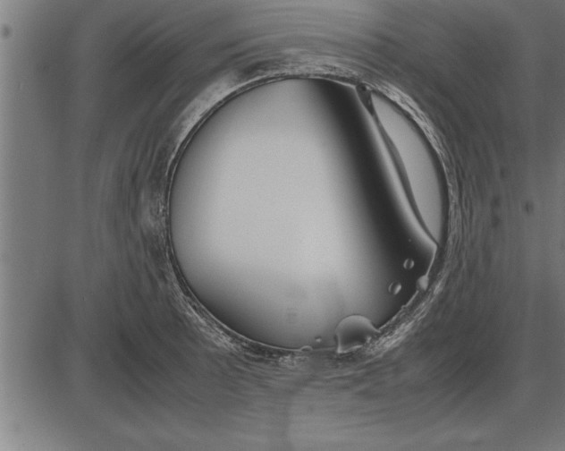 X0000086091089200704091320