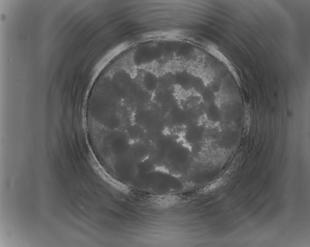 X0000086091090200704091320