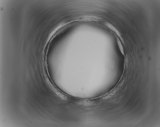 X0000086091091200704091320