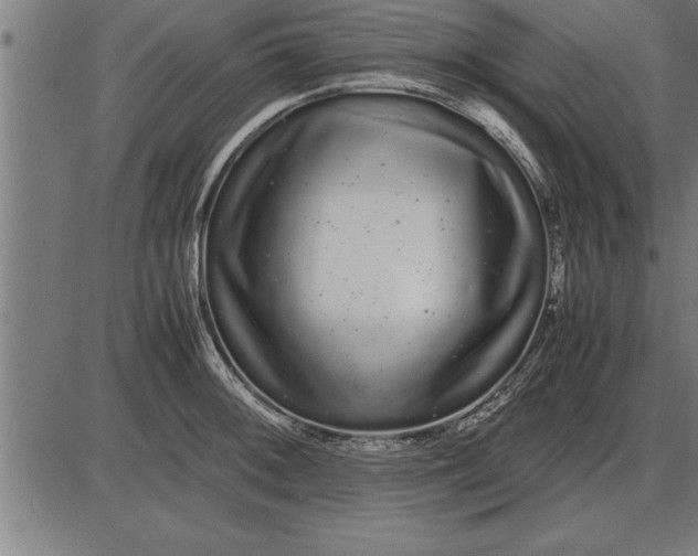 X0000086091092200704091320