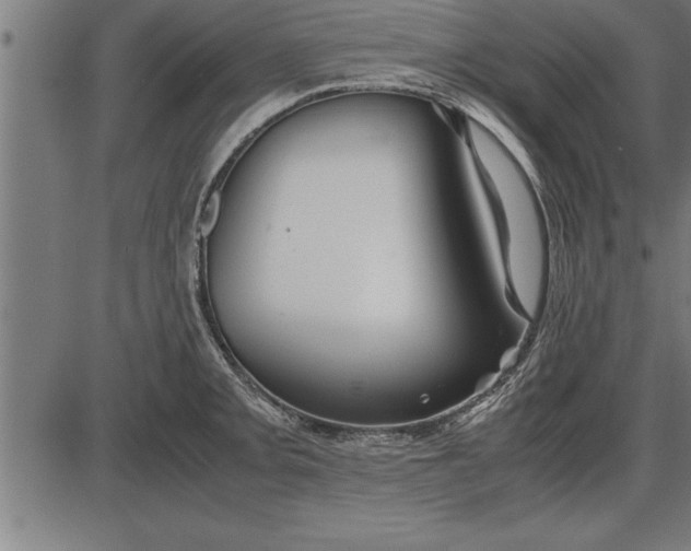 X0000086091093200704091320