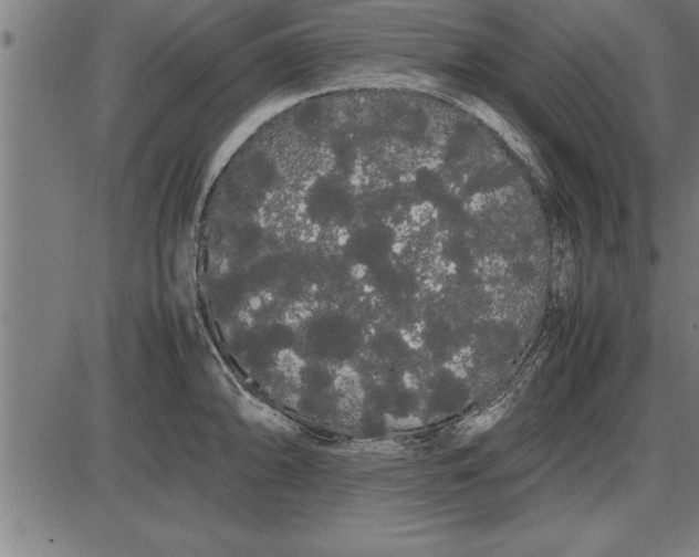 X0000086091094200704091320