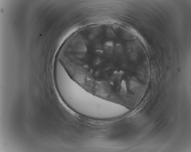 X0000086091095200704091320