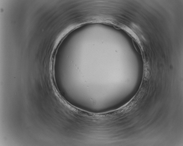 X0000086091096200704091320