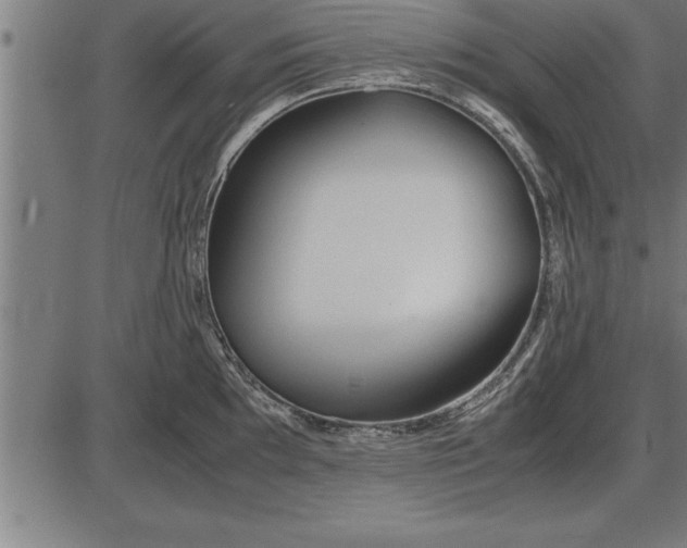 X0000086091097200704091320