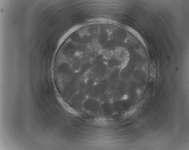 X0000086091098200704091320