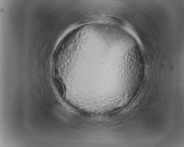 X0000086091099200704091320