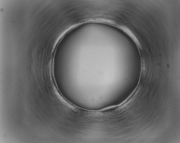 X0000086091100200704091320