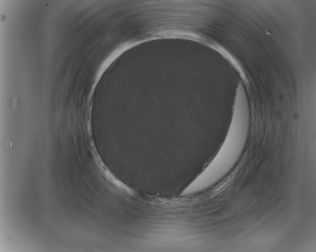 X0000086091102200704091320