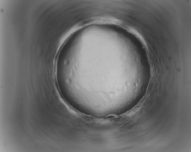 X0000086091103200704091320