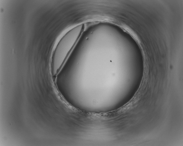 X0000086091104200704091320