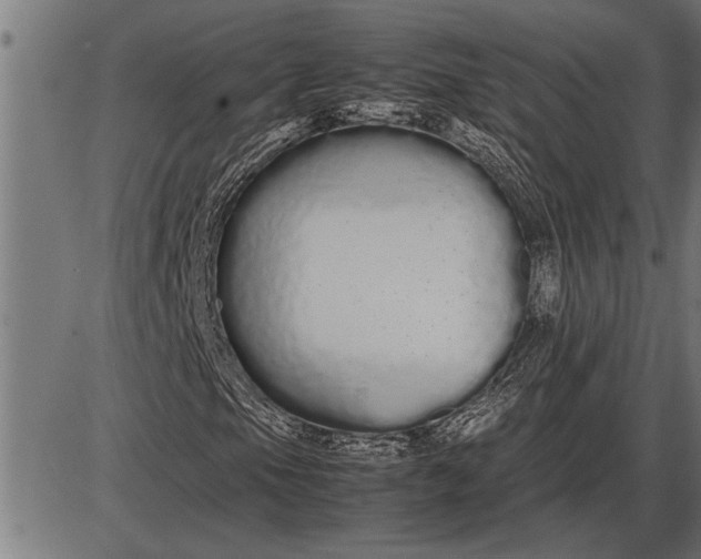 X0000086091105200704091319