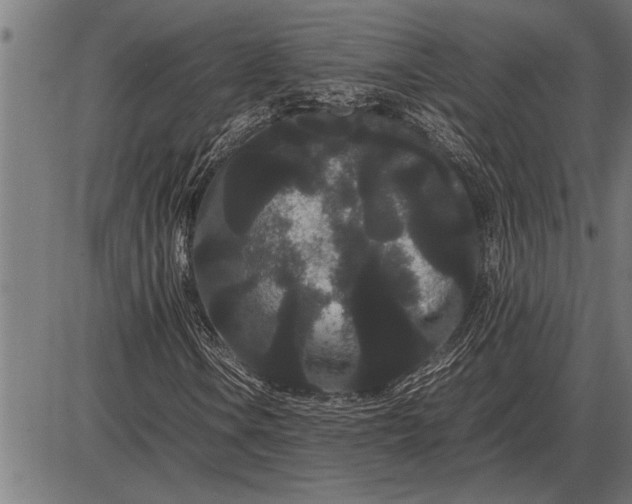 X0000086091106200704091319