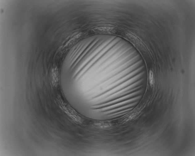 X0000086091107200704091319