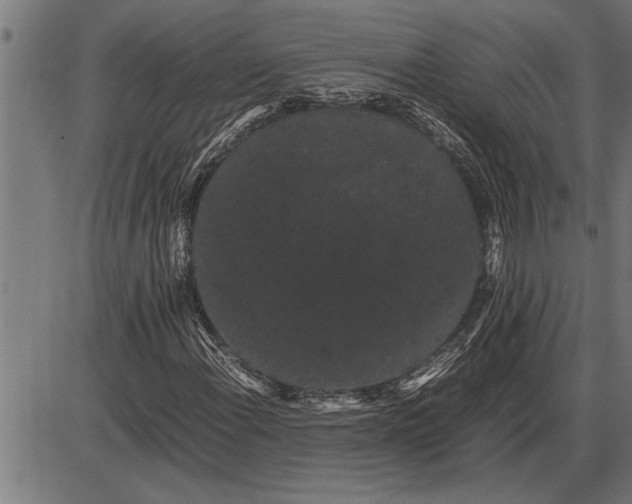 X0000086091108200704091319