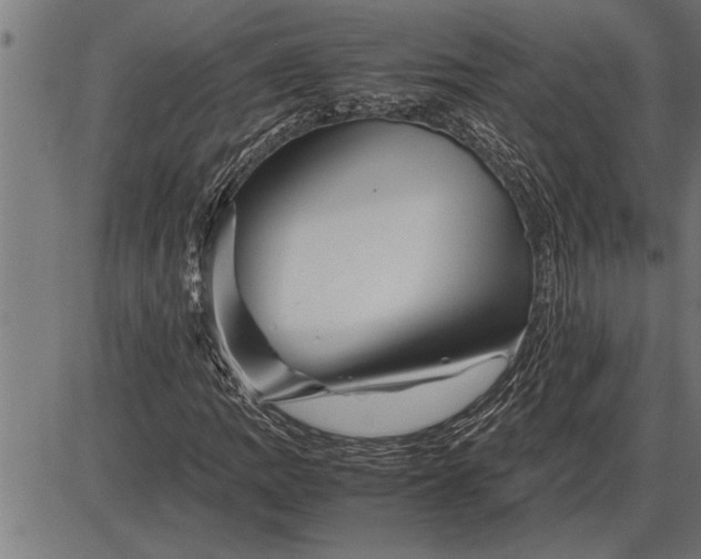 X0000086091109200704091319