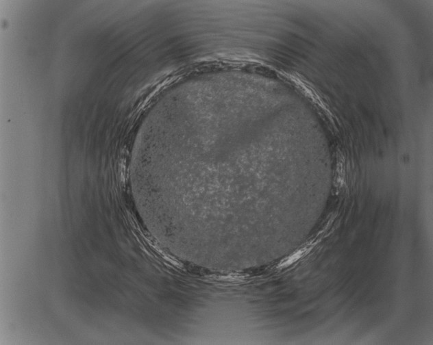 X0000086091110200704091319