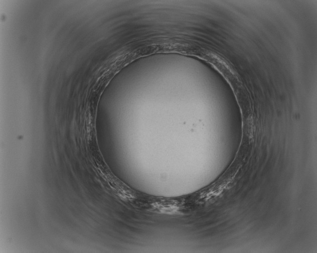 X0000086091111200704091319