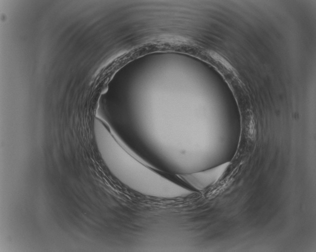 X0000086091112200704091319