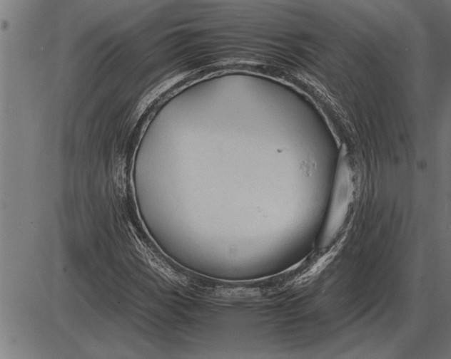 X0000086091113200704091319