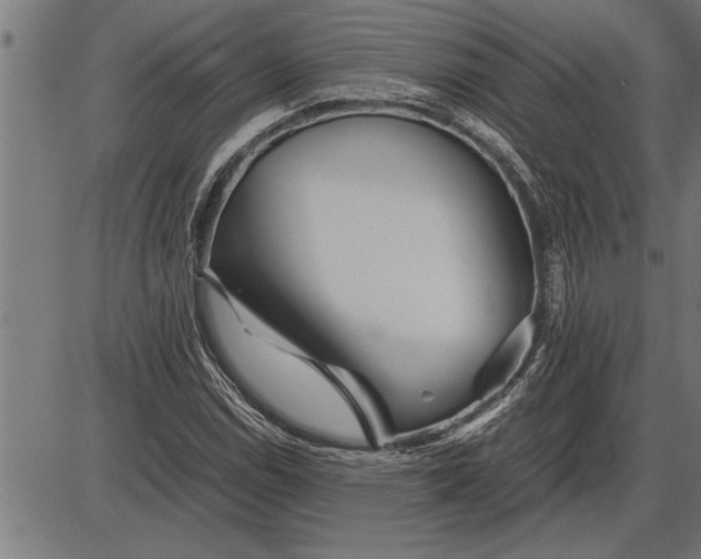 X0000086091114200704091319